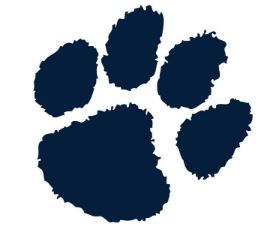 paw
